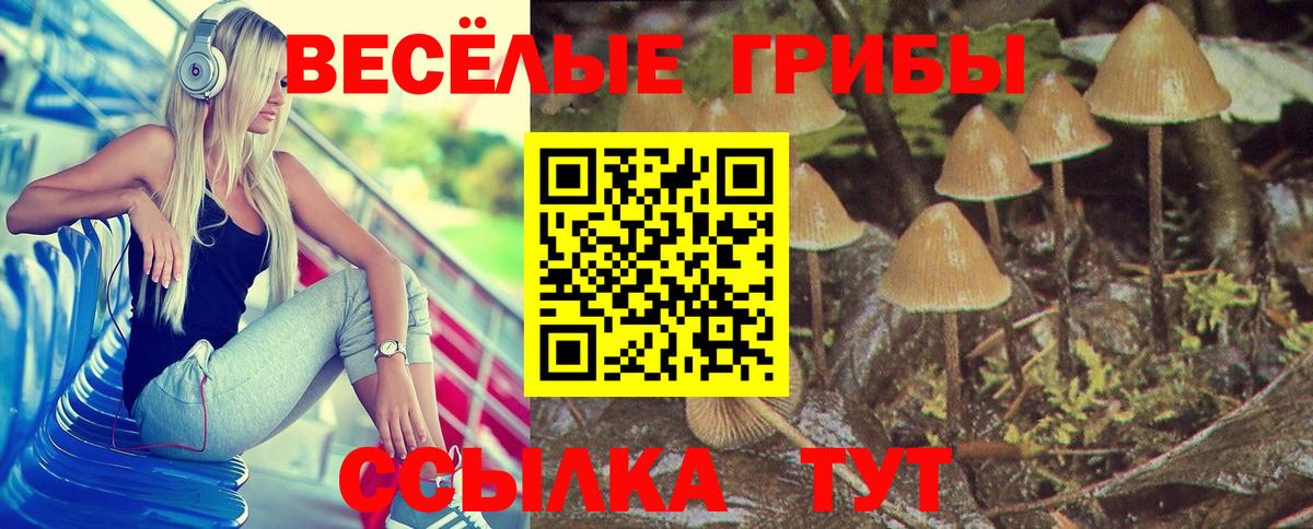 Псилоцибиновые грибы MAGIC MUSHROOMS  Вход с VPN  Люберцы 